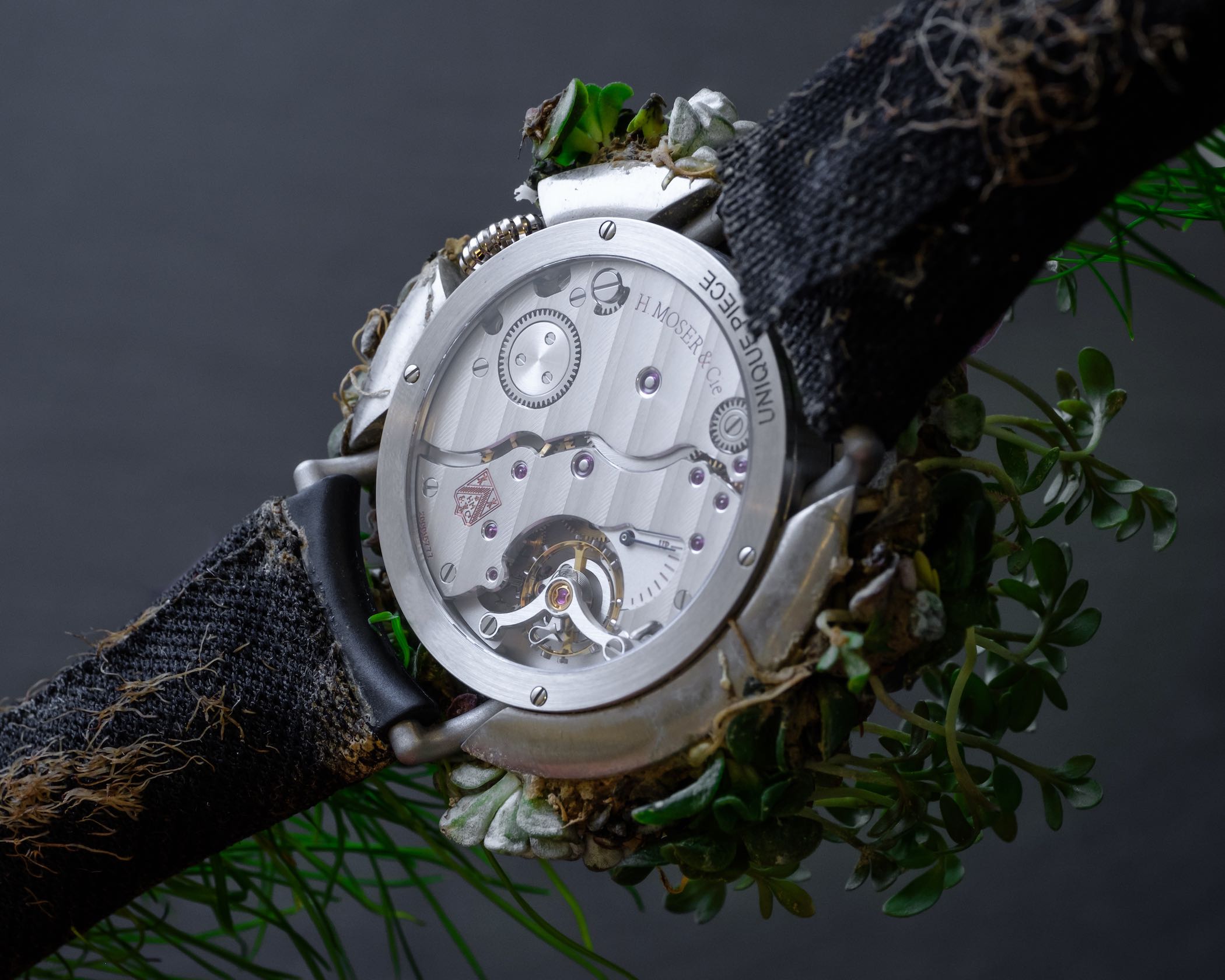 Watch natural. H.Moser - nature watch. H Moser Cie часы. H Moser Cie мануфактура. Watch from h. Moser.